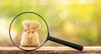 Fund Search