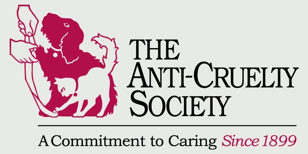 Feature Image for Anti-Cruelty Society