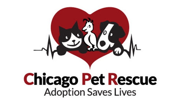 Feature Image for Chicago Pet Rescue