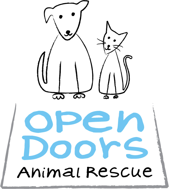Feature Image for Open Doors Animal Rescue