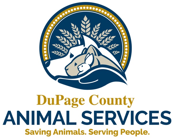 Feature Image for DuPage County Animal Services
