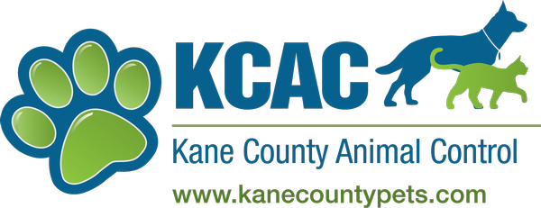 Feature Image for Kane County Animal Control