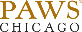 Feature Image for PAWS Chicago