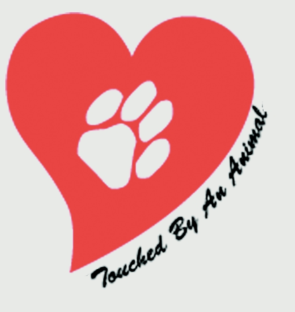 Feature Image for Touched By An Animal